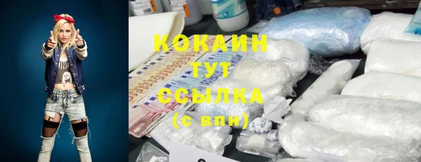 мескалин Дмитриев