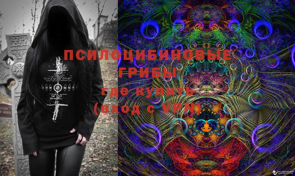 мескалин Дмитриев
