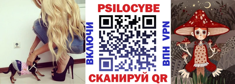 Купить где  Жигулёвск  Галлюциногенные грибы Psilocybe 